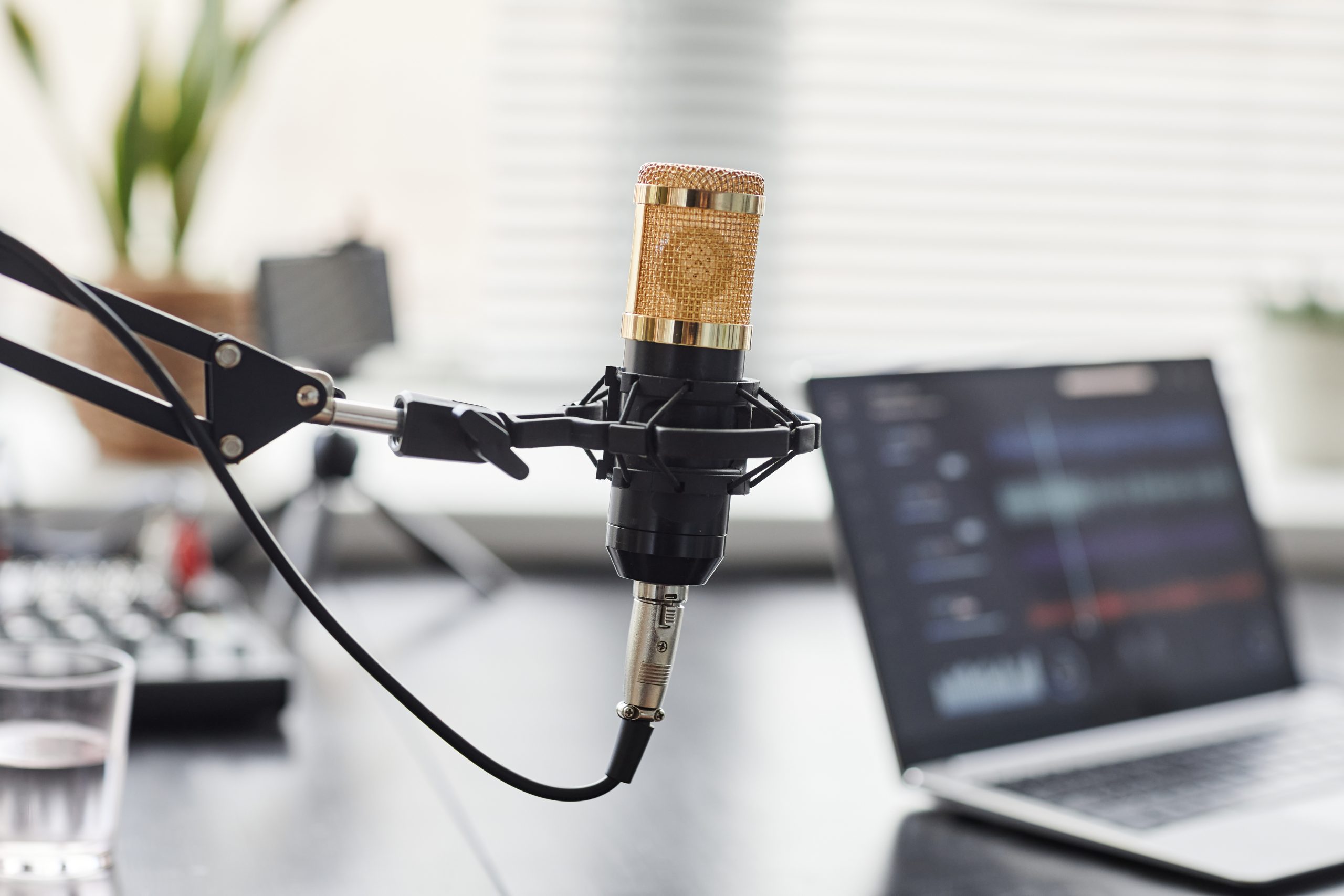 Why Your Business Needs A Podcast in 2024